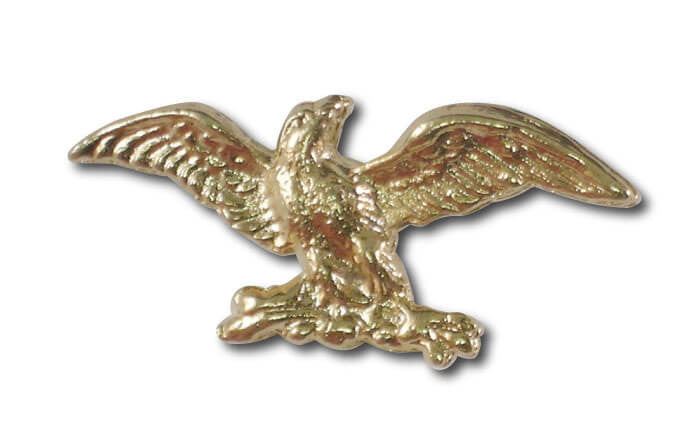 Eagle 2 Lapel Pin