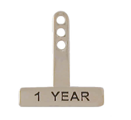 Rectangle Year Tabs