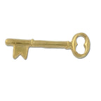 Skeleton Key Lapel Pin